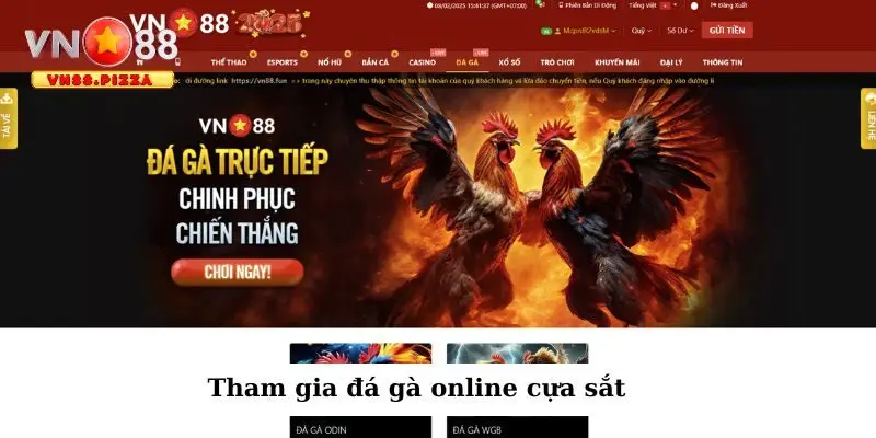 Đá gà online cựa sắt - Trải nghiệm chơi hay, thắng lớn Vn88 1 Giải trí gà đá cựa sắt trên mọi thiết bị