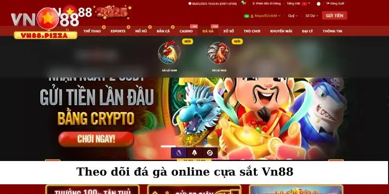 Đá gà online cựa sắt - Trải nghiệm chơi hay, thắng lớn Vn88 4 Theo dõi các trận đấu gà tại Vn 88