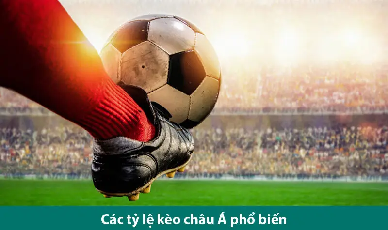 Tìm hiểu các loại kèo chấp Châu Á phổ biến và những điều cần lưu ý khi chơi cùng VN 88 2 Tìm hiểu các loại kèo chấp Châu Á phổ biến và những điều cần lưu ý khi chơi