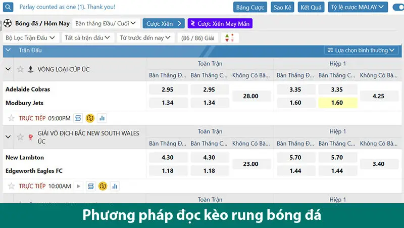 Tìm hiểu về các loại cược và những lưu ý khi chơi kèo rung 1 Tìm hiểu về các loại cược và những lưu ý khi chơi kèo rung