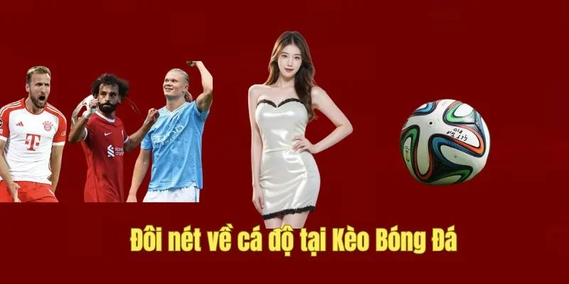 Cược bóng đá là gì