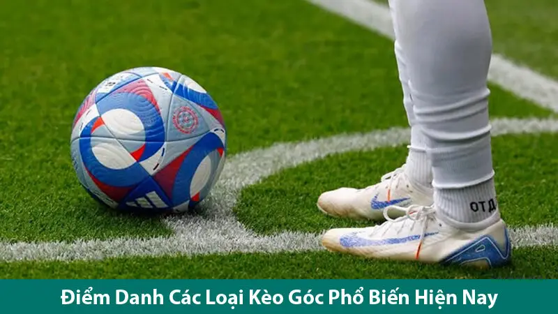 Chia Sẻ Một Số Bí Quyết Chinh Phục Kèo Chấp Góc Bóng Đá Hiệu Quả 2025 2 Chia sẻ một số bí quyết chinh phục kèo chấp góc bóng đá hiệu quả
