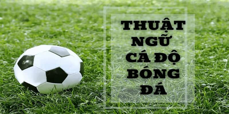 Thuật ngữ cá độ bóng đá là gì