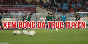 Trực tiếp bóng đá HD